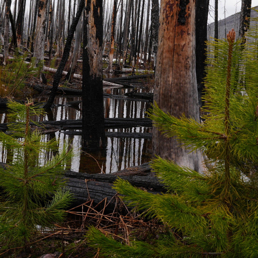 “Let's learn about Slow fashion together”