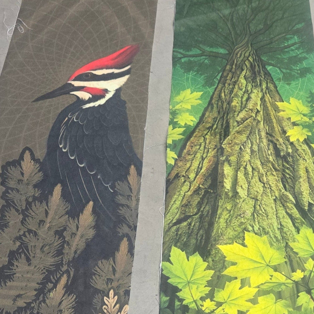 The Story Behind The Art —Clothing That Cares