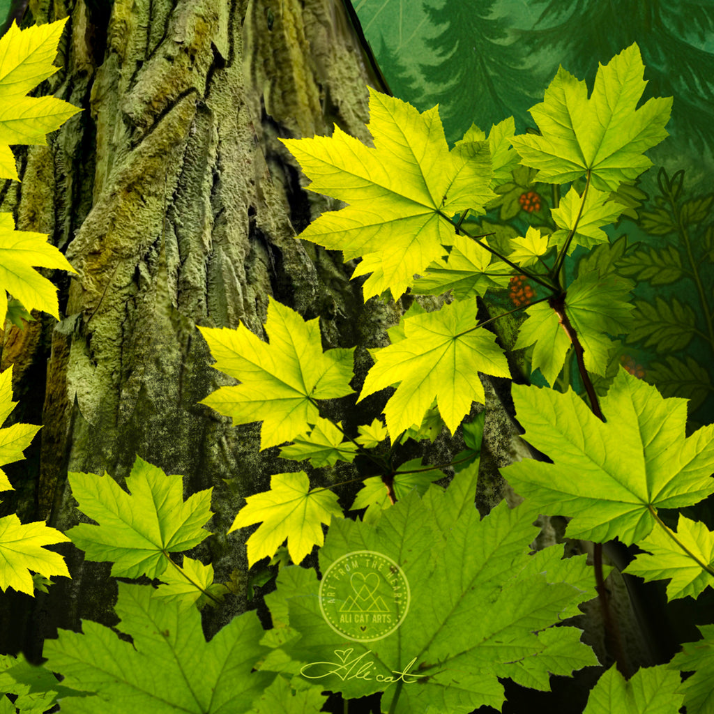 Forest Threads For Wildsight —Art By Ali Cat