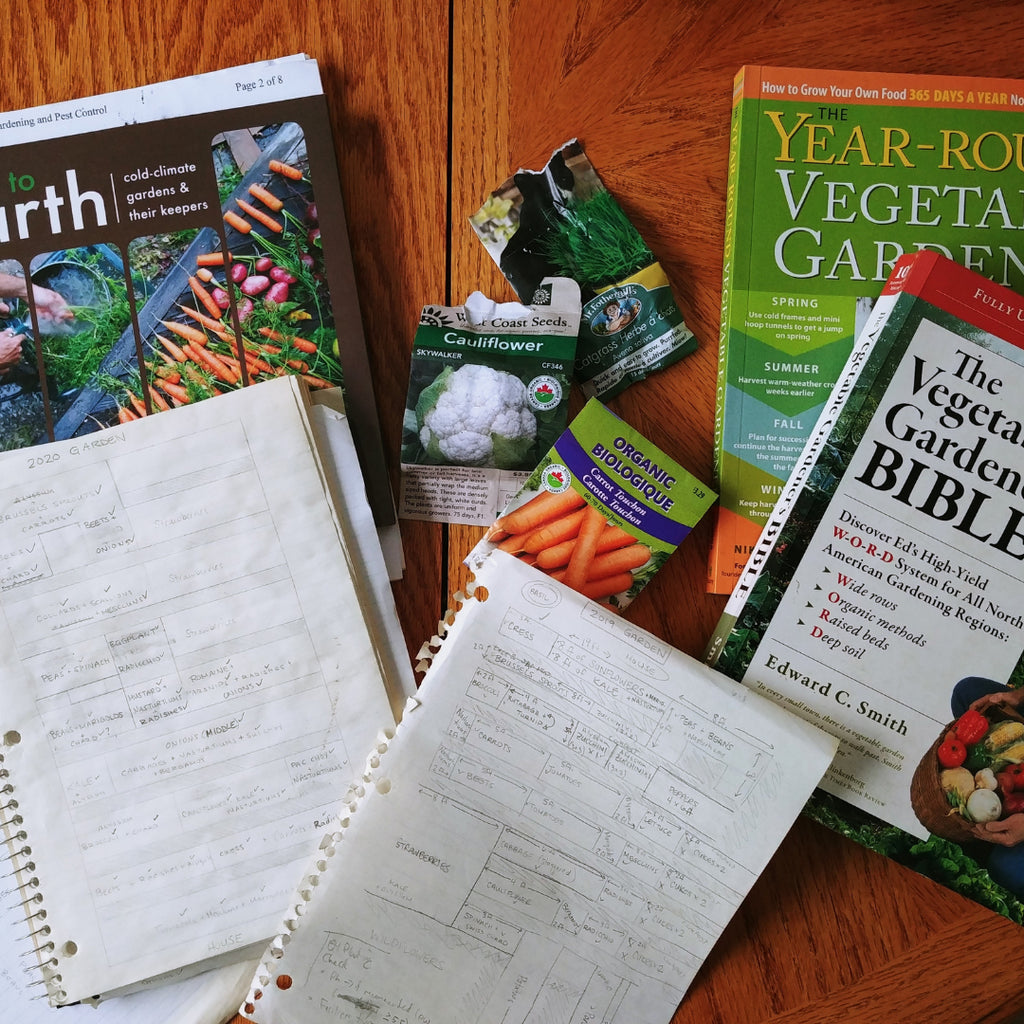 This year’s garden by Tamara Dunn