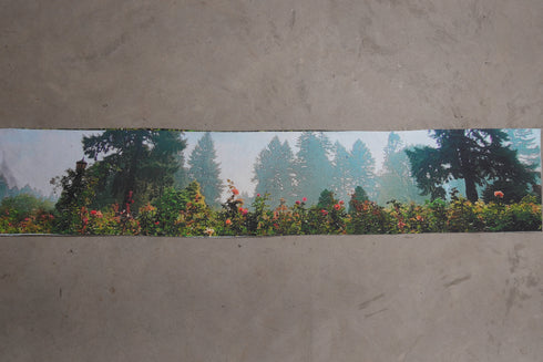 Sun Rise Trees —Sleeved